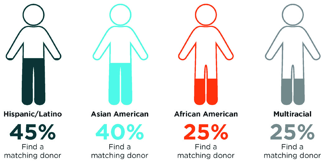 diversity-chart-2019-donor-matching